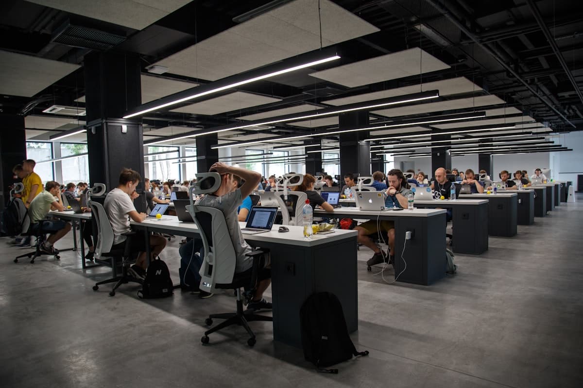 Web development Brisbane